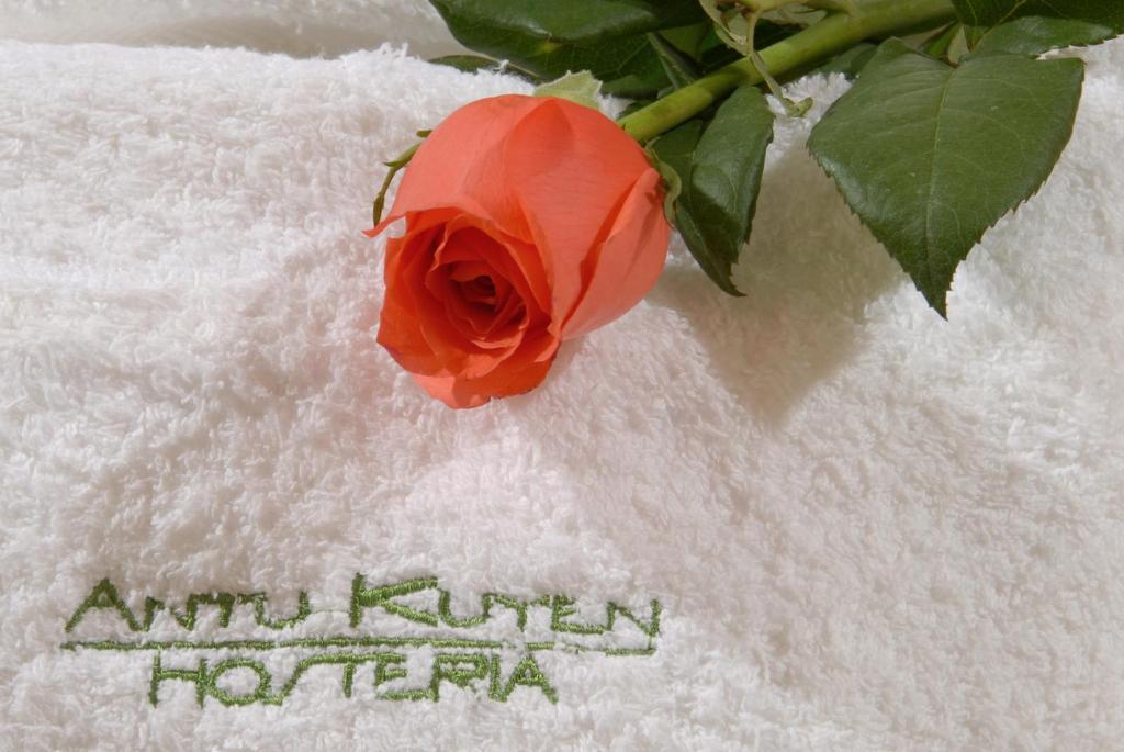 Hosteria Antu Kuyen San Carlos de Bariloche Kültér fotó